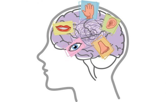 کاردرمانی یکپارچگی حسی